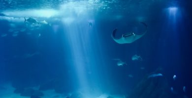 Los mejores lugares para pescar en Florida