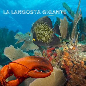 Un hallazgo inesperado en la temporada de langosta