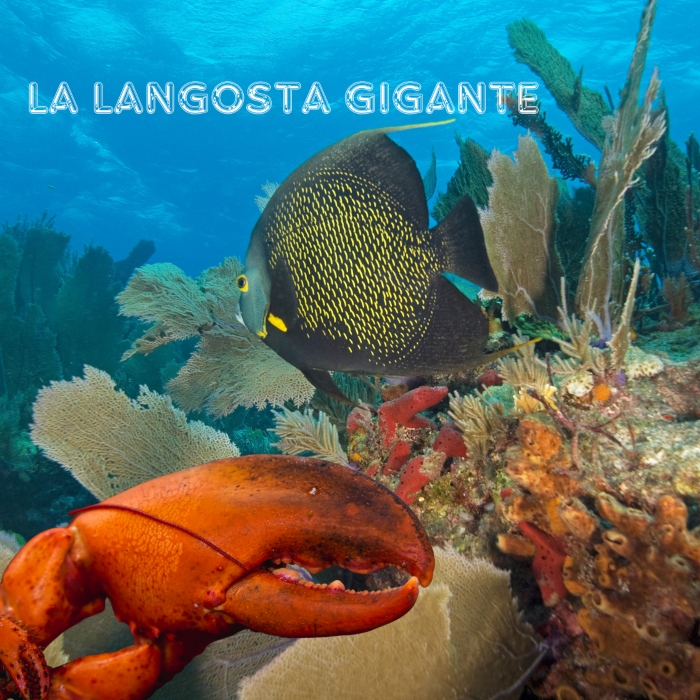 Un hallazgo inesperado en la temporada de langosta